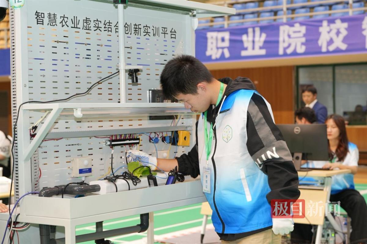 QQ图片20241114191310.jpg QQ图片20241114191310.jpg
